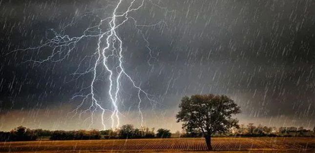 雷电的种类有哪些？